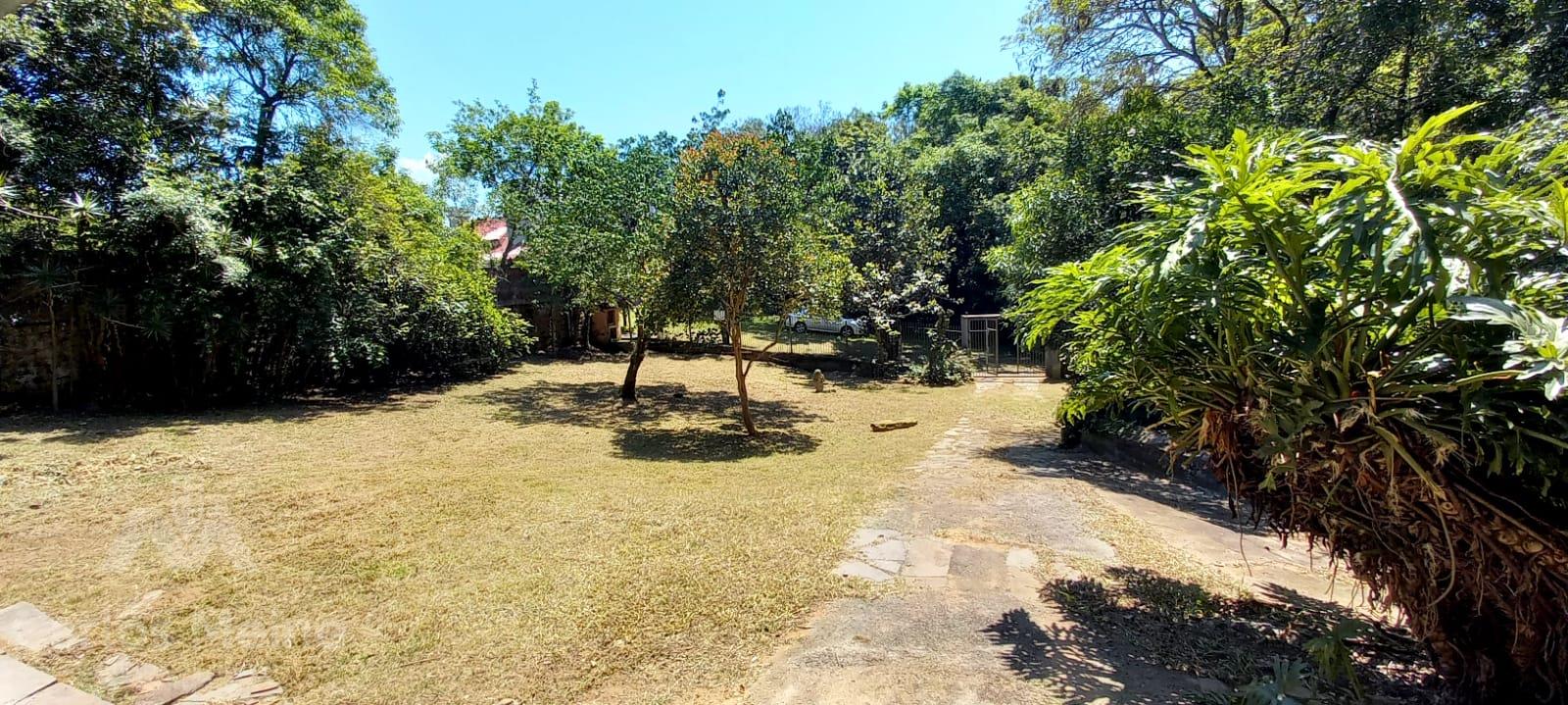 Imóvel 323