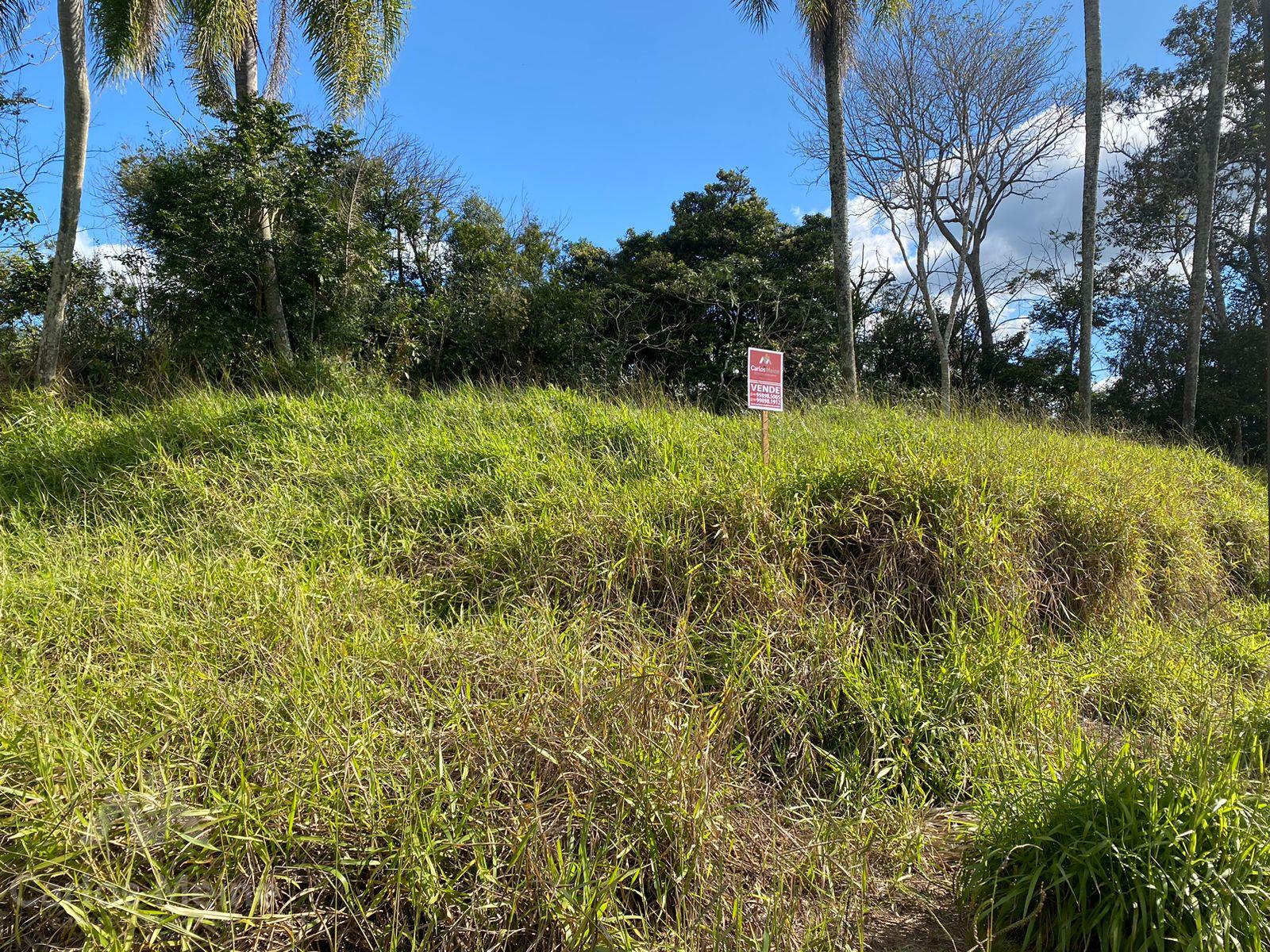 Imóvel 453
