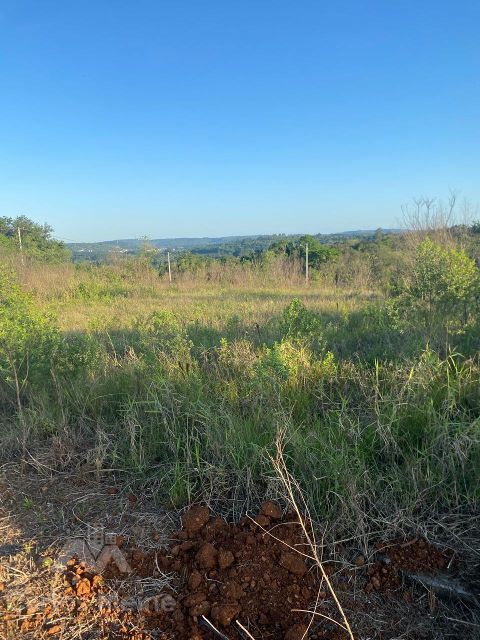 Imóvel 539