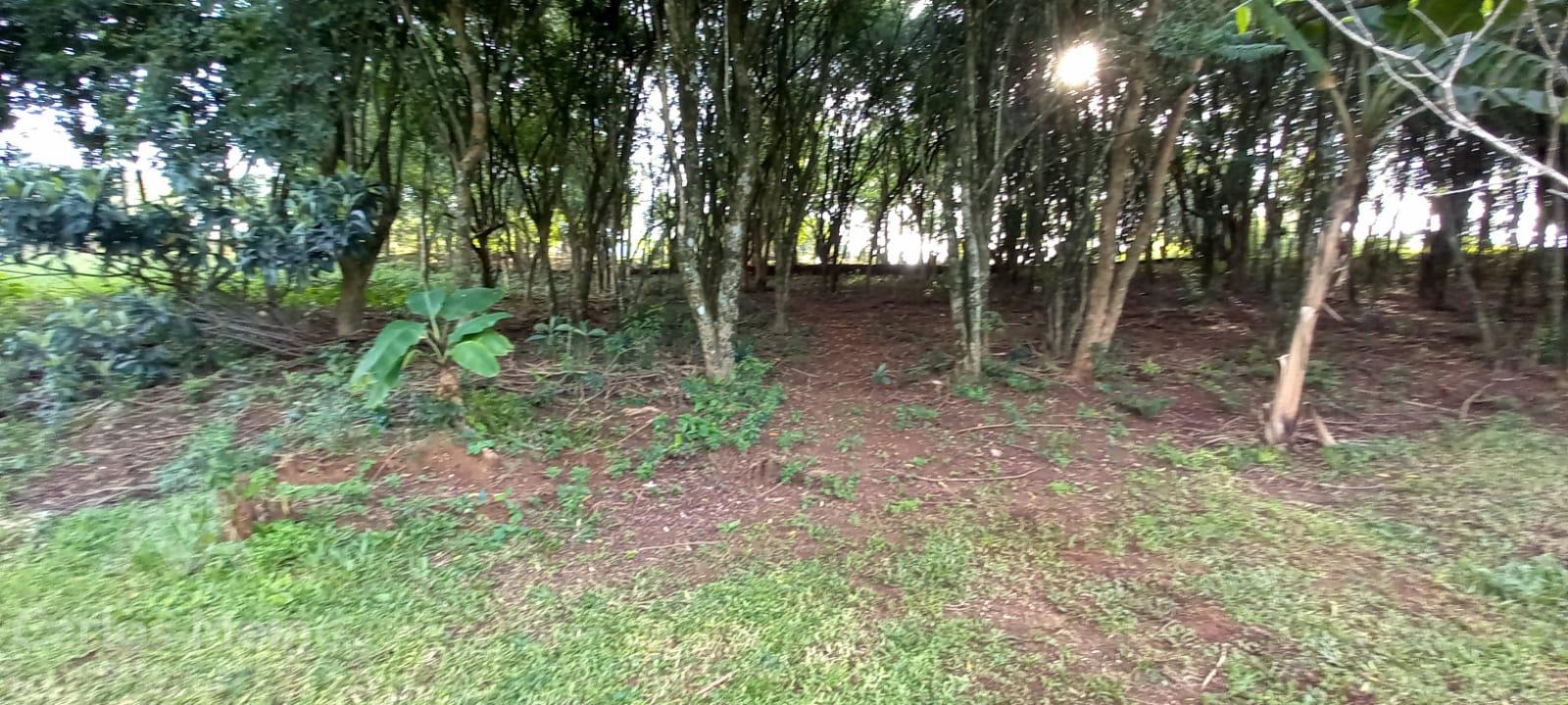 Imóvel 574