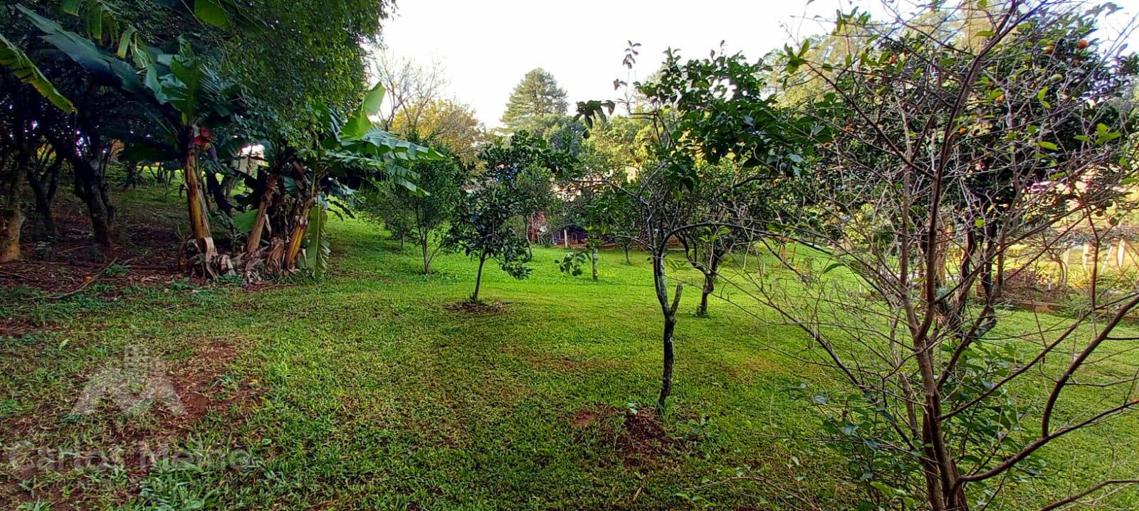 Imóvel 574