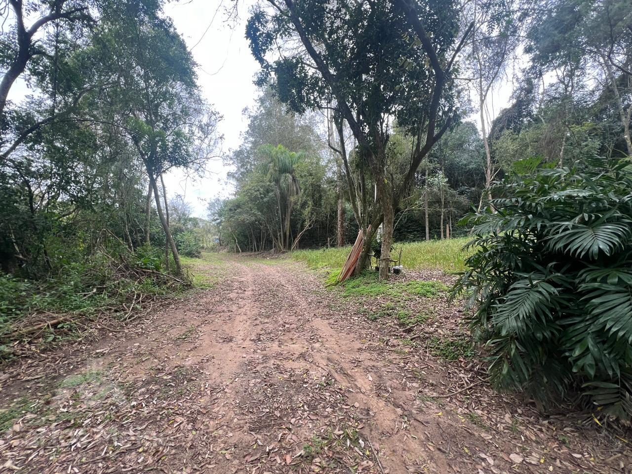 Imóvel 653