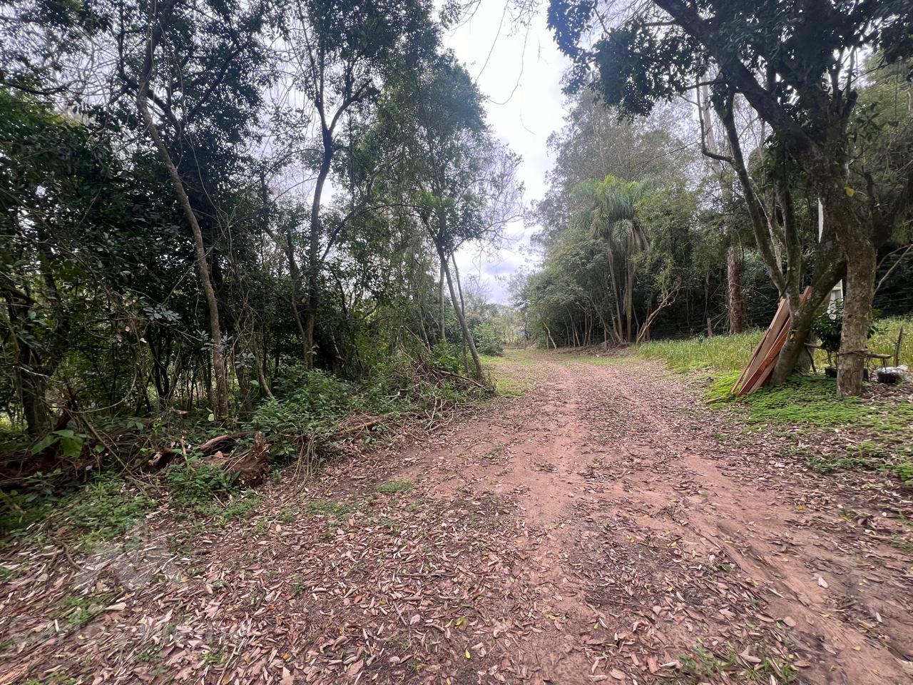 Imóvel 653