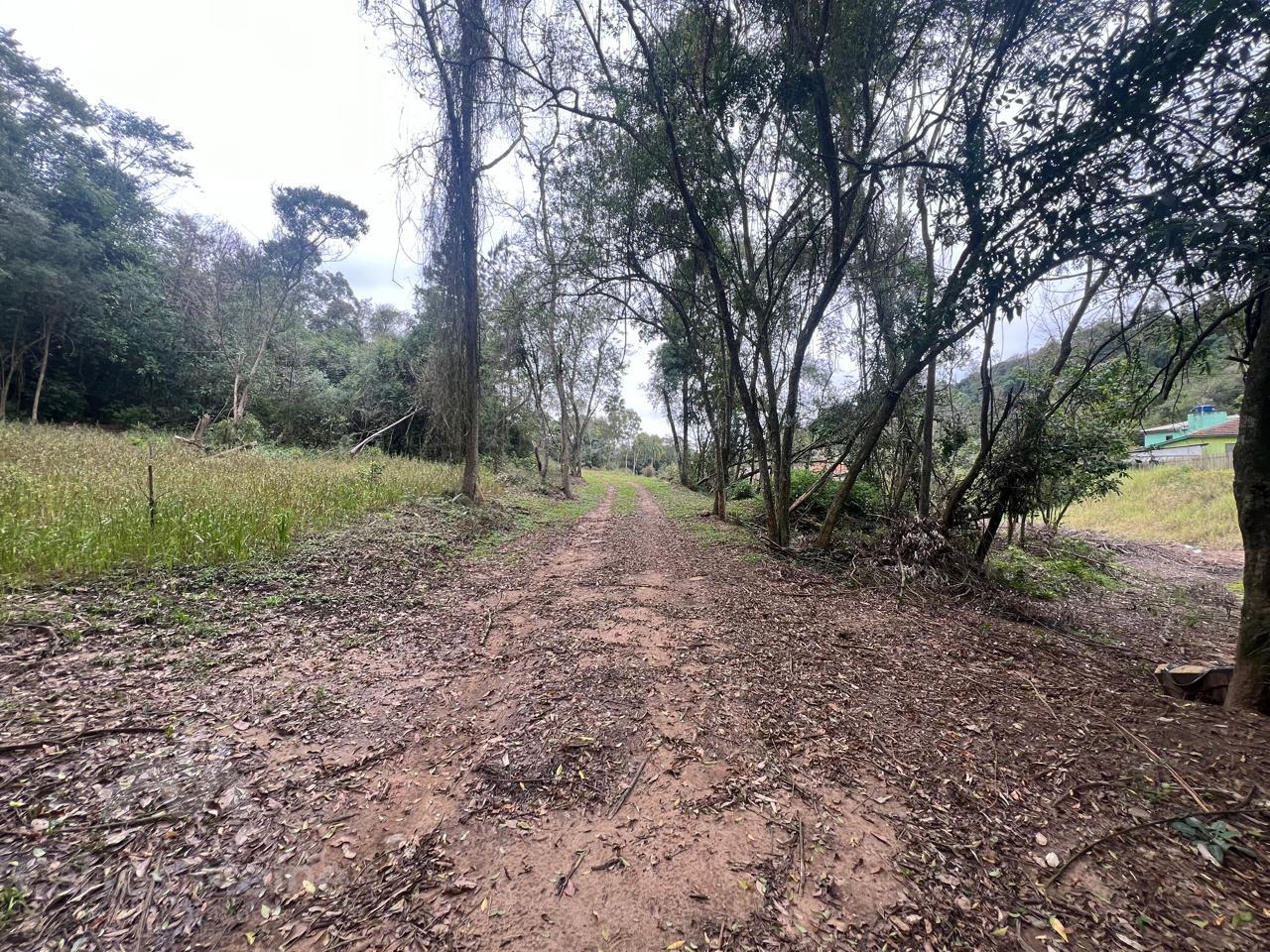 Imóvel 653