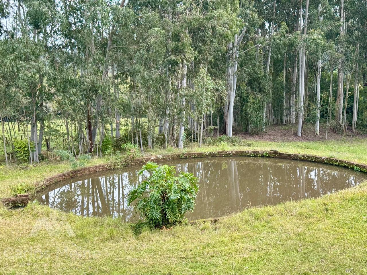 Imóvel 657