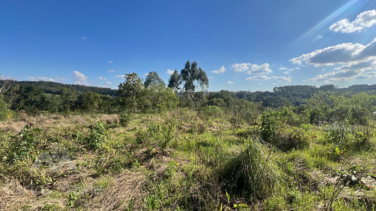 Imóvel 686