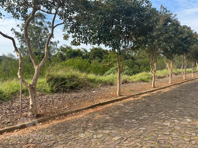 Imóvel 1065
