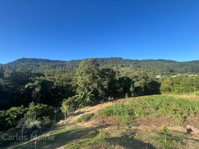 Imóvel 945